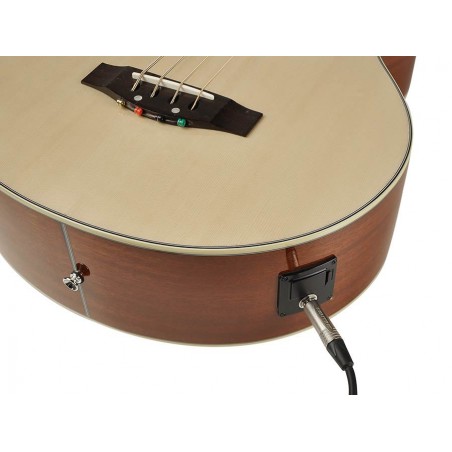 Akustiline basskitarr Richwood RB-102-CE