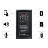 McGrey E-208LA Active Line Array Column System Stereo Set