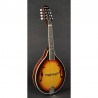 Richwood Mandolin RMA-60-VS