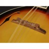 Mandoliin Richwood RMA-60-VS