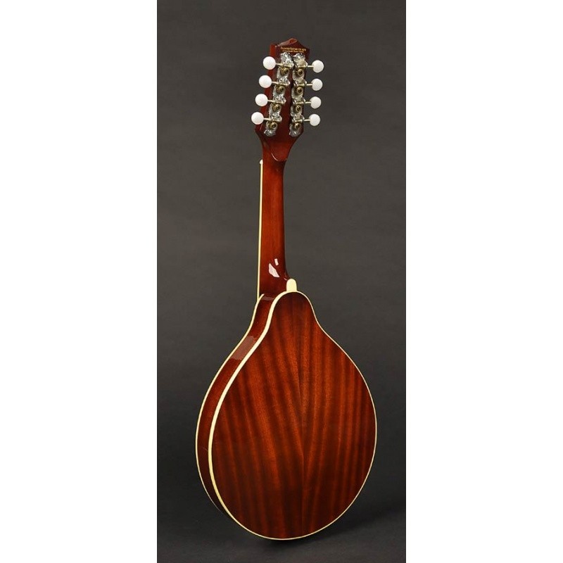 Mandoliin Richwood RMA-60-VS