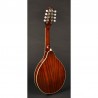 Richwood Mandolin RMA-60-VS