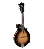 Richwood Master Series F-style mandolin with spruce top RMF-60-VS