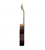 4/4 klassikaline kitarr Cascha CGC300