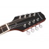 Mandoliin banjo Richwood Heritage seeria RMBM-408
