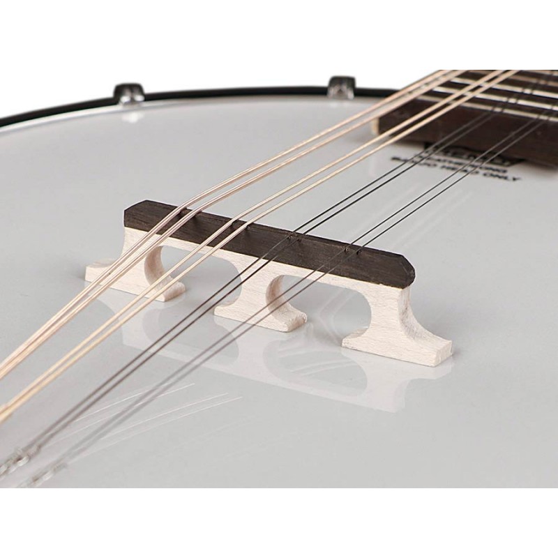 Mandoliin banjo Richwood Heritage seeria RMBM-408