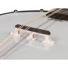 Mandoliin banjo Richwood Heritage seeria RMBM-408