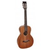 Richwood Master Series handmade parlor guitar P-50