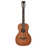 Richwood Master Series handmade parlor guitar P-50