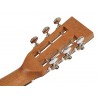 Richwood Master Series handmade parlor guitar P-50