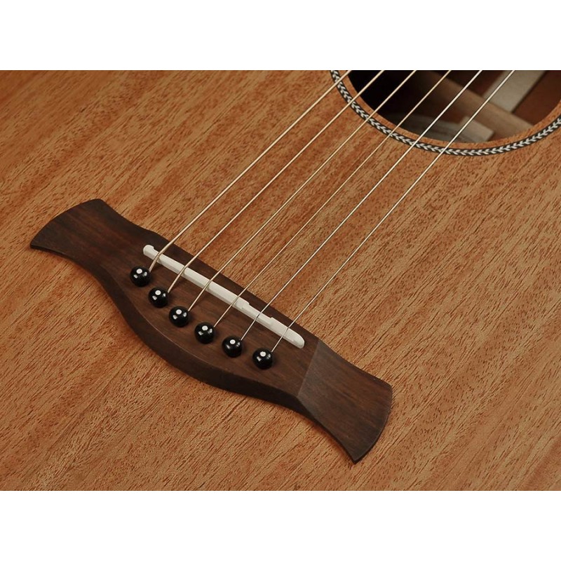 Richwood Master Series handmade parlor guitar P-50