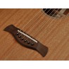Richwood Master Series handmade parlor guitar P-50