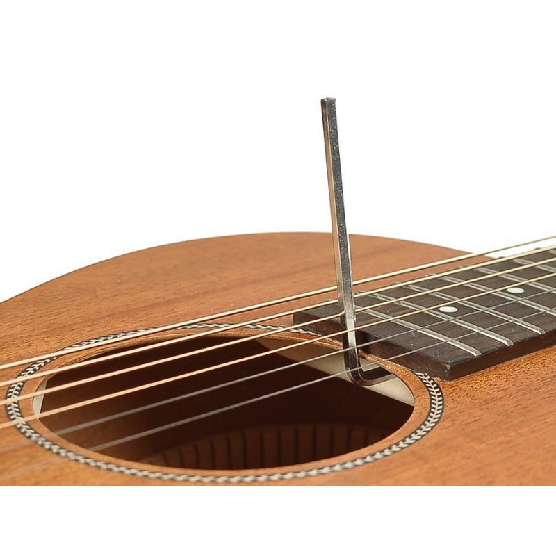 Richwood Master Series handmade parlor guitar P-50