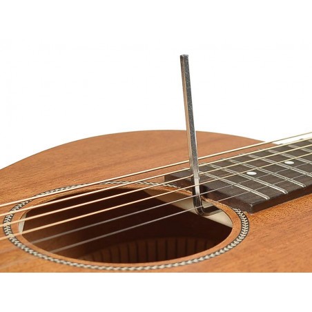 Richwood Master Series handmade parlor guitar P-50