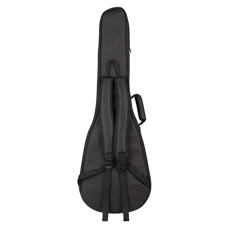 Elektroakustiline kitarr Carbon Fibre Cascha CGACF2-BK