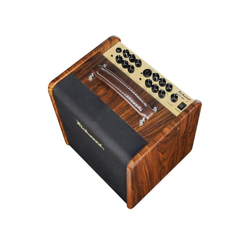 Amplifier Richwood RAC-50