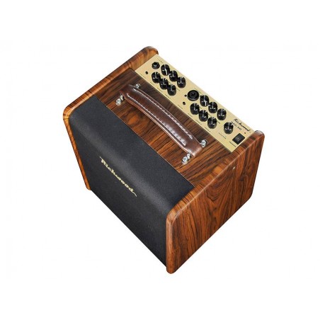 Amplifier Richwood RAC-50
