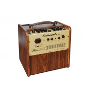 Amplifier Richwood RAC-50