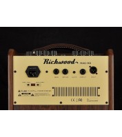 Amplifier Richwood RAC-50