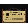 Amplifier Richwood RAC-50