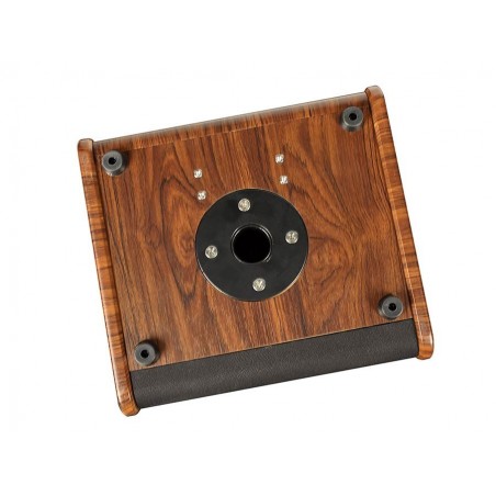 Amplifier Richwood RAC-50