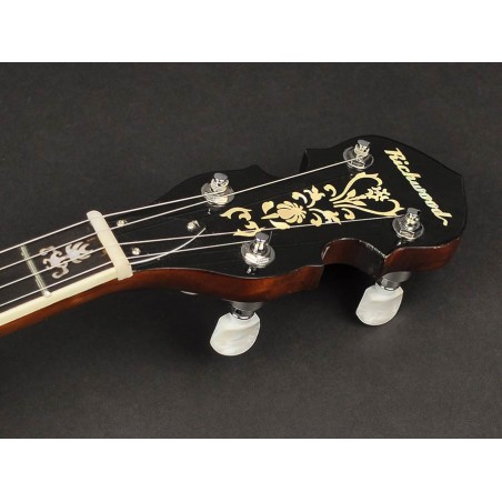 Richwood Heritage Seeria tenor banjo 4-keelne RMB-904-SS