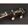 Richwood Heritage Seeria tenor banjo 4-keelne RMB-904-SS