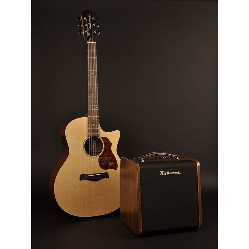 Amplifier Richwood RAC-50