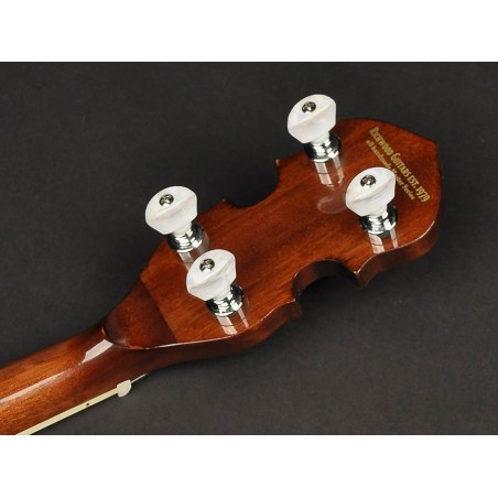 Richwood Heritage Seeria tenor banjo 4-keelne RMB-904-SS