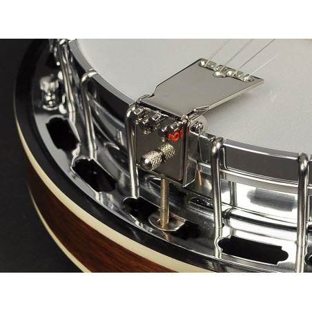 Richwood Heritage Series tenor banjo 4-string RMB-904-SS
