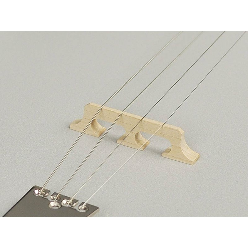 Richwood Heritage Seeria tenor banjo 4-keelne RMB-904-SS