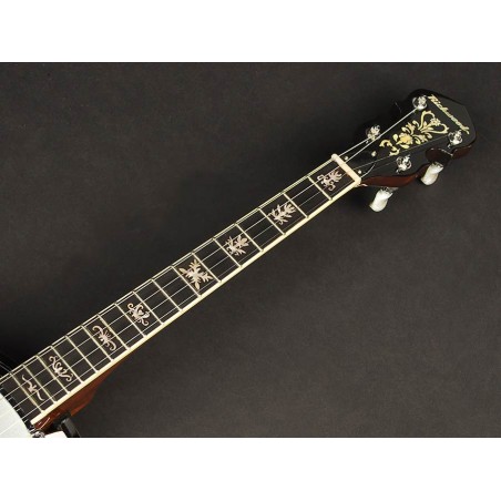 Richwood Heritage Seeria tenor banjo 4-keelne RMB-904-SS