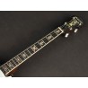 Richwood Heritage Series tenor banjo 4-string RMB-904-SS
