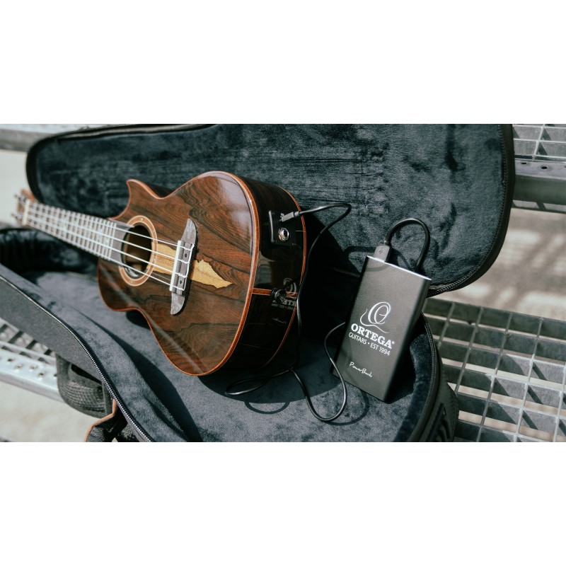 ORTEGA akupank - 10000mAh