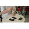 ORTEGA Power Bank - 10000mAh