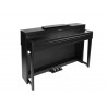 Medeli Forte Series digital home piano DP460K/BK