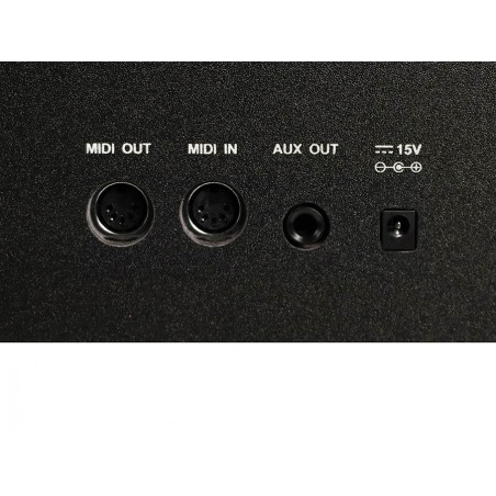 Medeli Forte Series digital home piano DP460K/BK