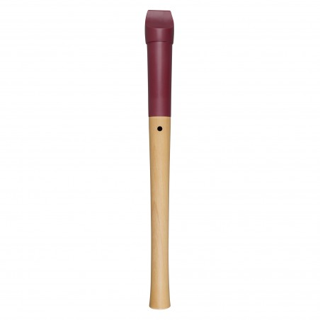 Soprano Recorder Student - German Fingering