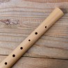 Soprano Recorder Student - German Fingering