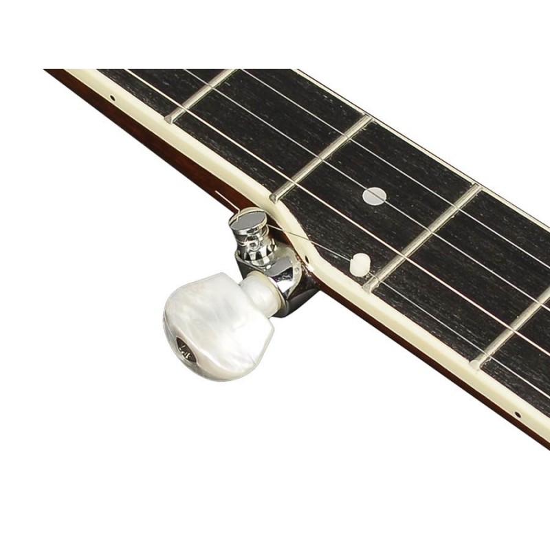 Richwood Heritage seeria 5-keelne banjo RMB-605
