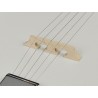 Richwood Heritage Series folk banjo 5-string RMB-605
