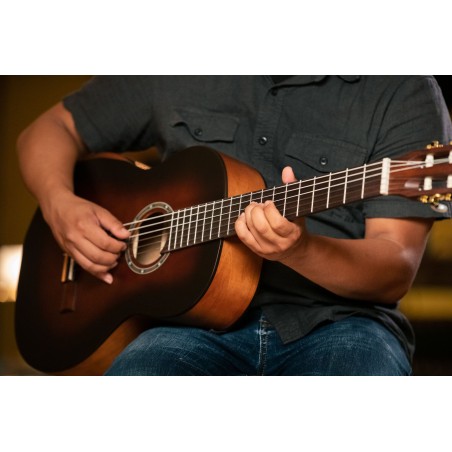 ORTEGA Student Series Pro DeLuxe 4/4 Classical Guitar R55DLX-BFT