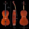 Classic cello CP-100 1/2