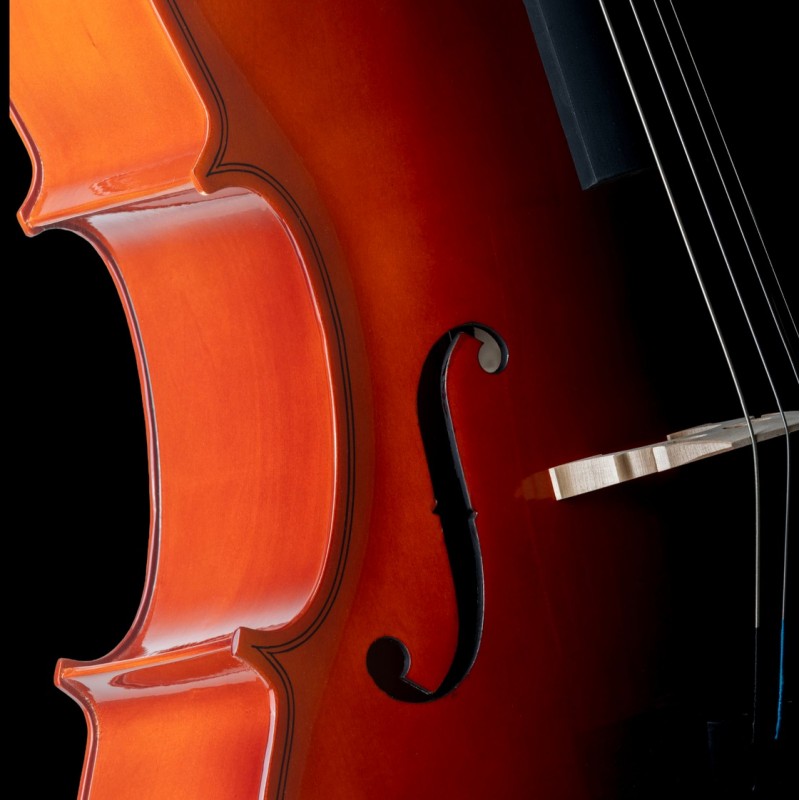 Classic cello CP-100 1/2