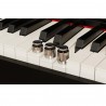 Digiklaveri komplekt NUX NCK-330BK-Set