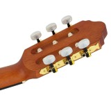 Classical Guitar Valencia VC404