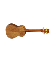 Concert ukulele Ortega LIZARD-CC-GB