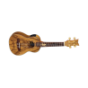 Kontsert ukulele Ortega LIZARD-CC-GB