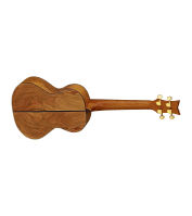 Tenor ukulele Ortega LIZARD-TE-GB