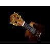 Kontsert ukulele Ortega ECLIPSE-CC4